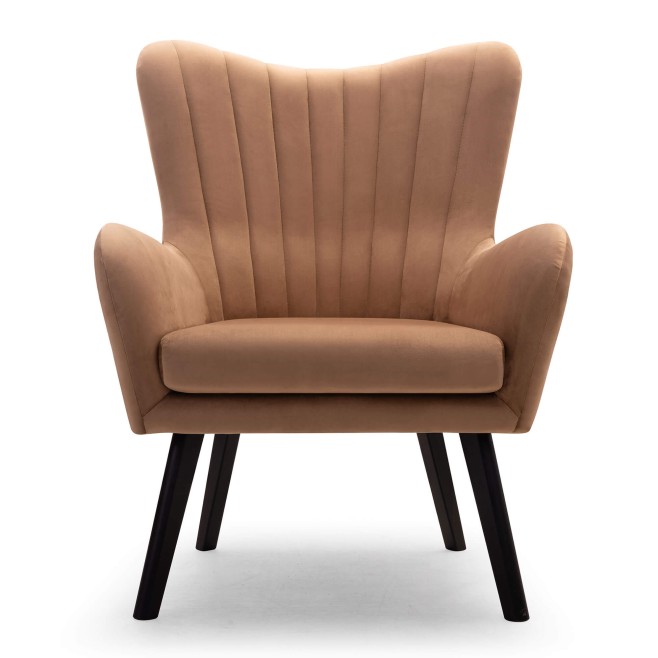 Fotel TED Velluto 30 Front.jpg